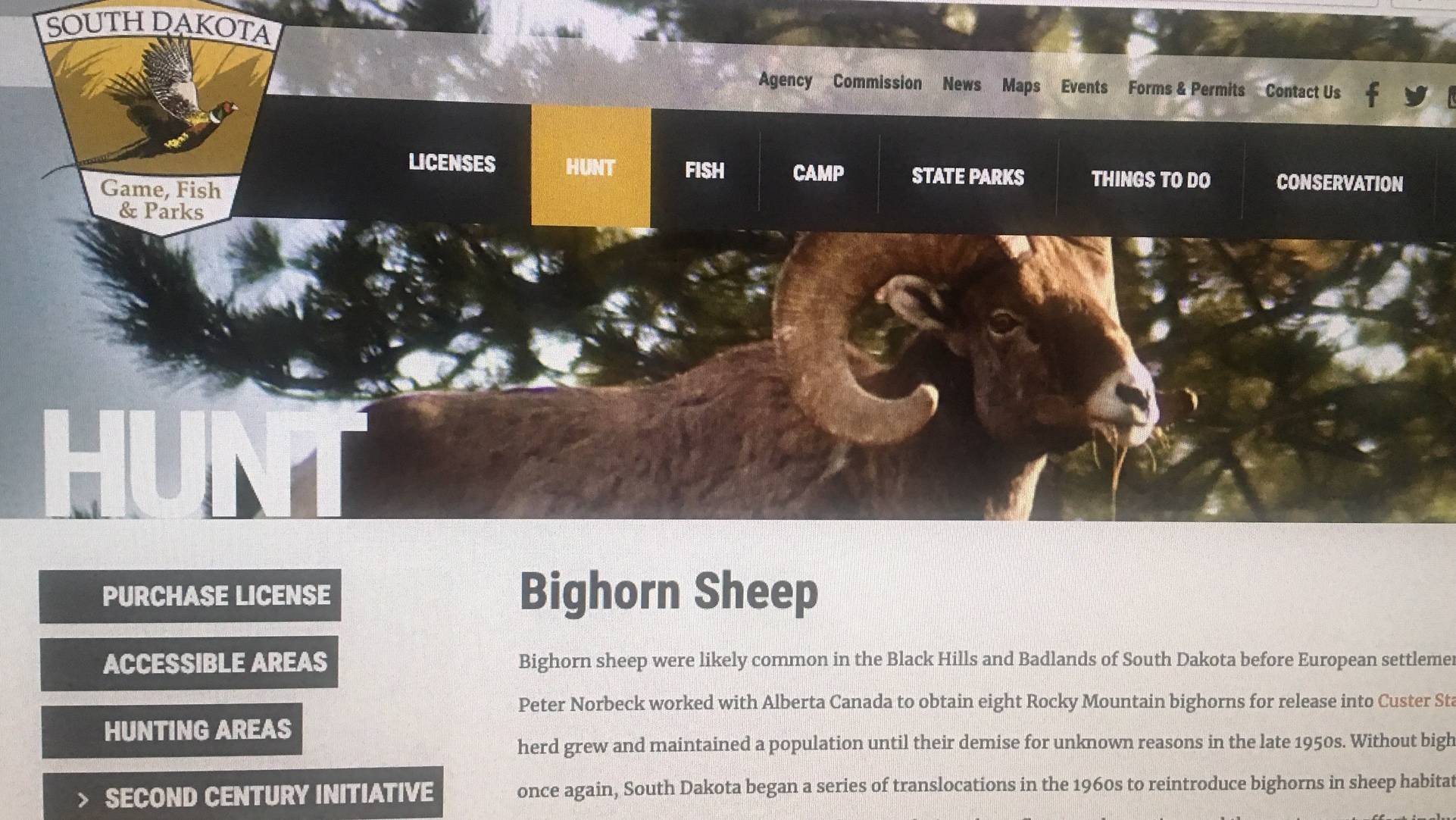 High Value Big Horn Sheep Permits