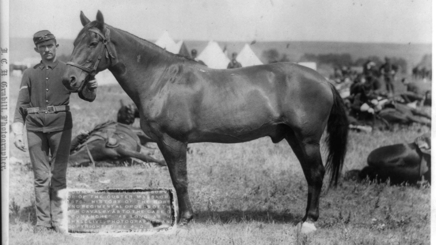 IMAGES OF THE PAST: Army's Sole Survivor of Custer's Last Stand