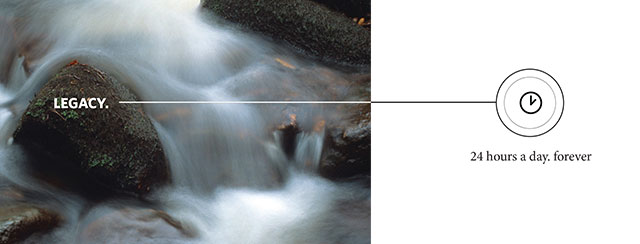 endow_wills_header.png