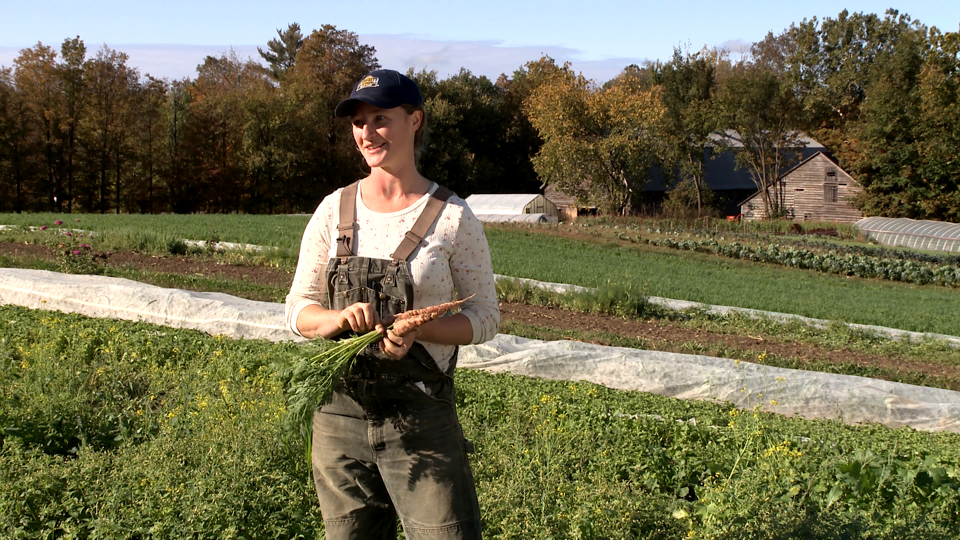 Carrots from Laughing Earth