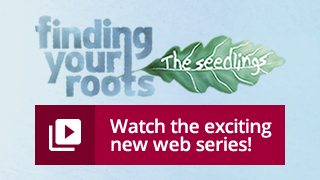 Finding Your Roots - The Seedlings