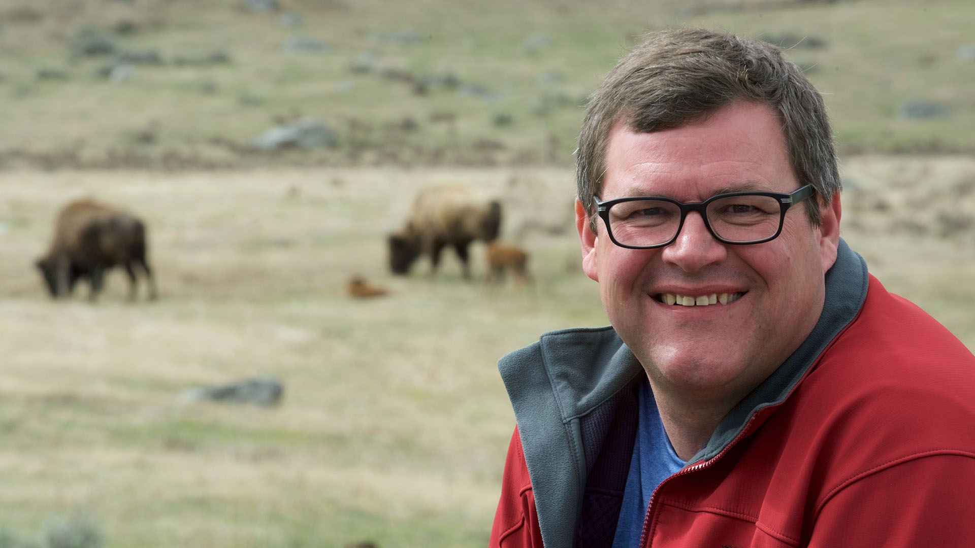 Host Kirk Johnson with bison and calves at Yellowstone. Presenter Kirk Johnson with bison & calves c. Presenter Kirk Johnson & bear expert Kirk Johnson c. Tim Martin.jpg