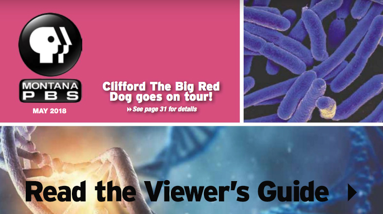 VIEWER'S GUIDE