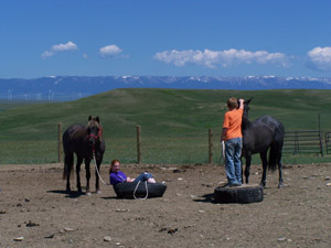 Riley and Eric Reed working with their horses Riley and Eric Reed working with their horses