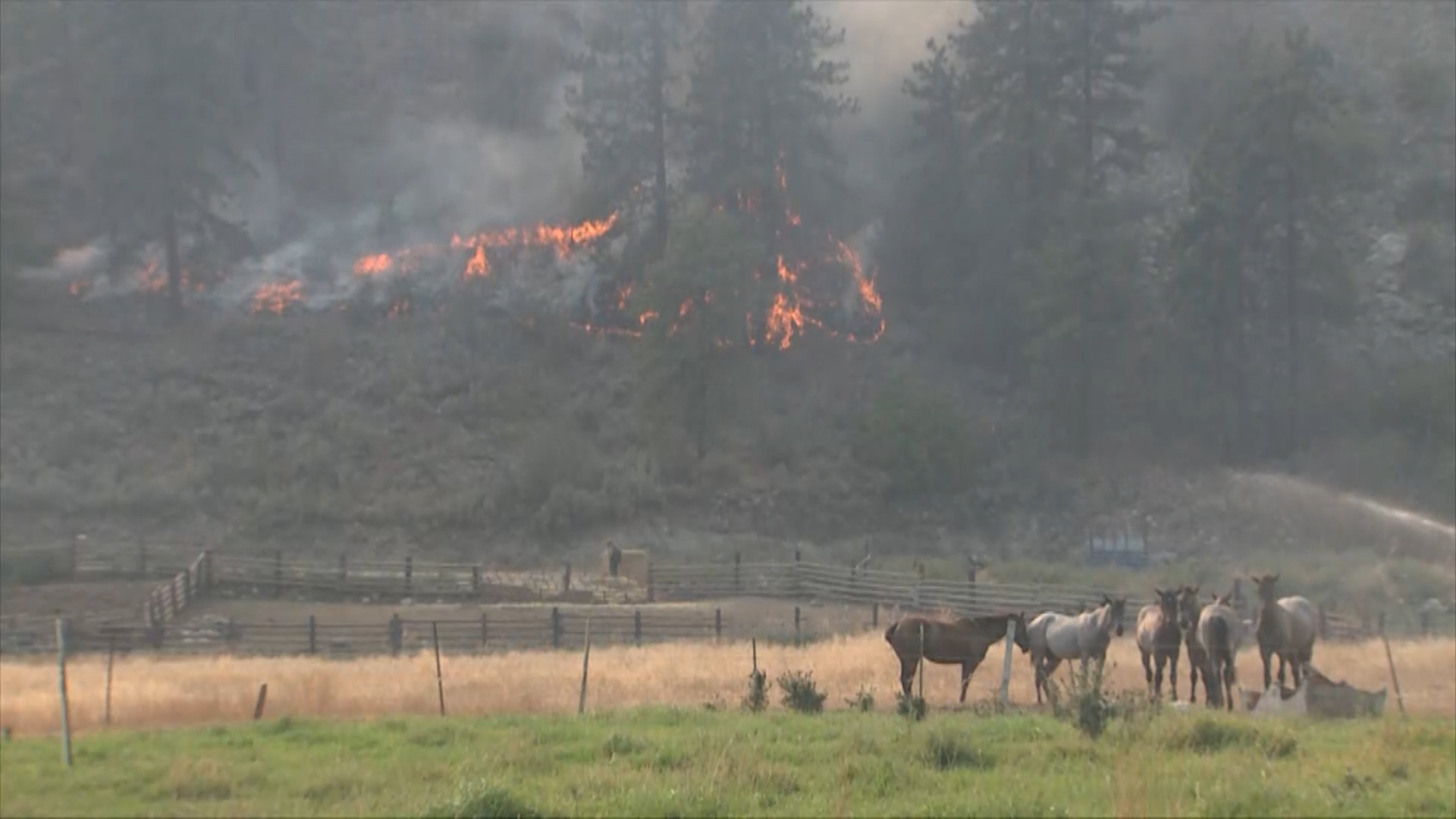 Drought Emergency - Sept. 18, 2015
