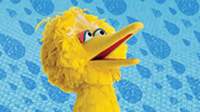 Sesame Street