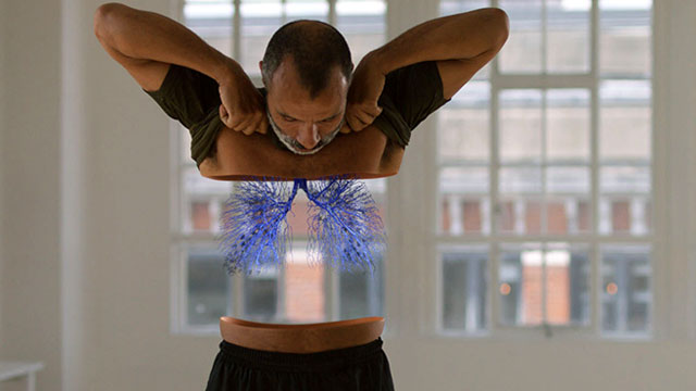The Amazing Human Body