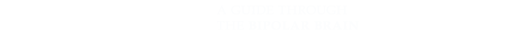 Ride the Tiger: A Bipolar Documentary