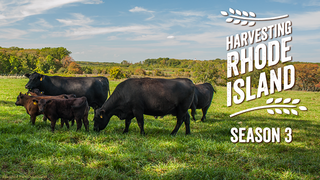 Harvesting Rhode Island