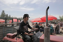 Man driving a tractor