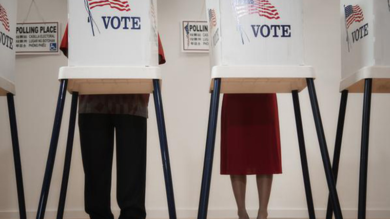 Election Process
