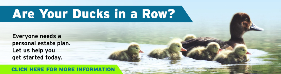 Ducks in a row new 2017.jpg