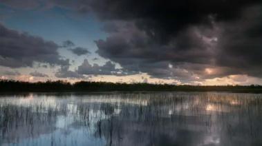 SWAMP: AMERICAN EXPERIENCE - Tuesday, January 15 at 9 pm.