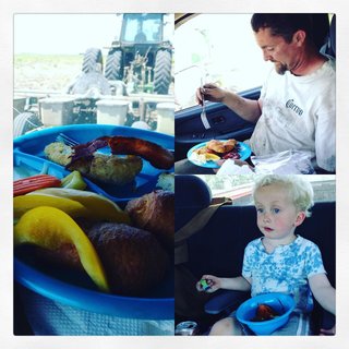 Melissa's family enjoying a harvest dinner on the go. 13418431_10154315301768919_5142801085437313955_o.jpeg