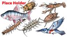 Illustrations