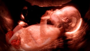 twice born stories from