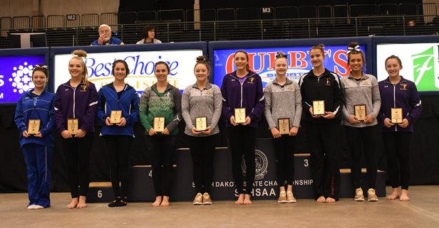 2019 AA All Tournament Team 2019AA All Tournament.JPG