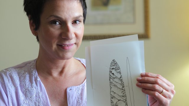 Scientific_Illustration.jpg