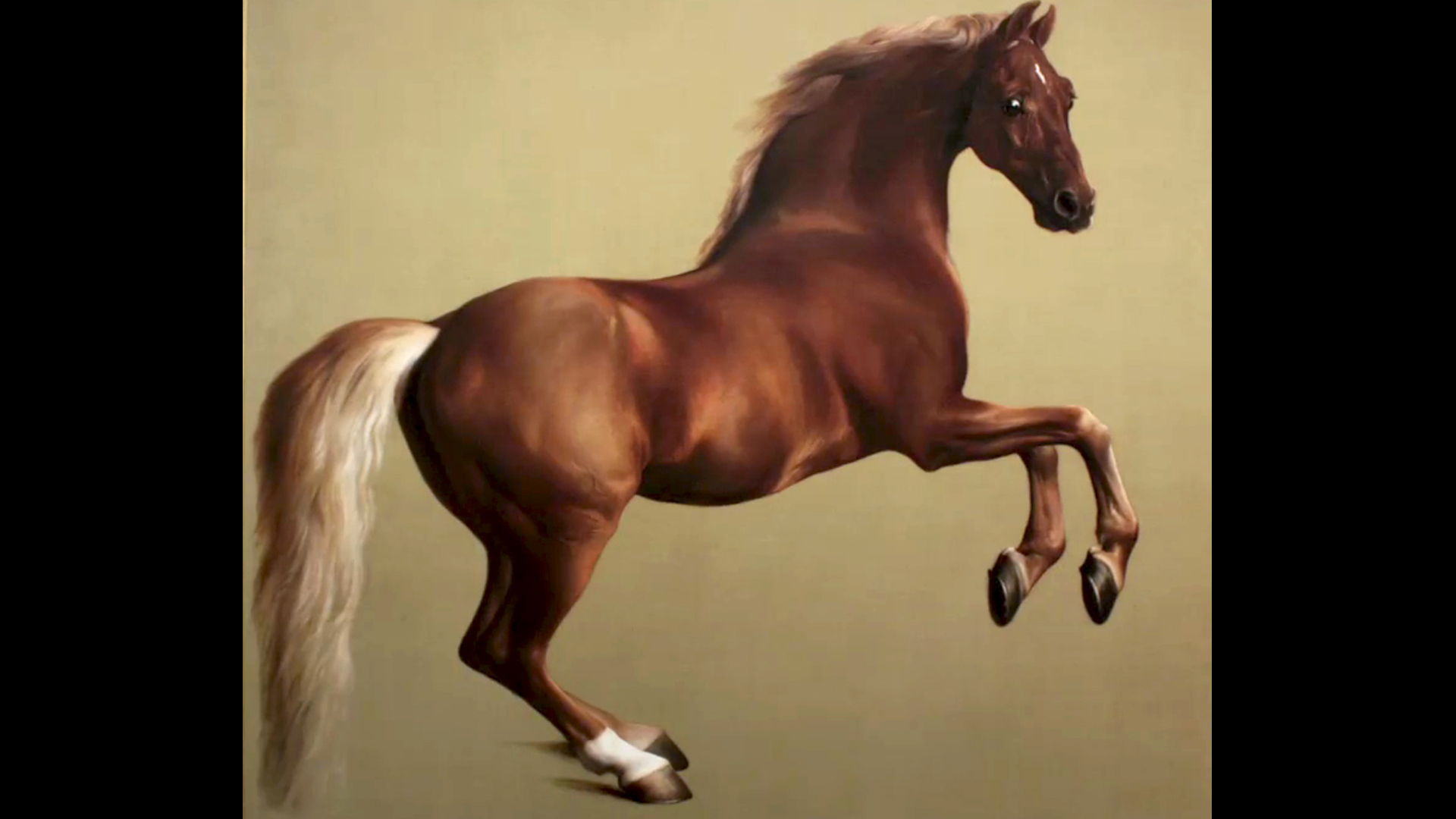 The Paintings National Gallery PBS